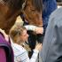 Full Circle Equine Gastroscopy Clinic